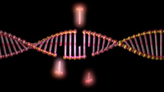 FITA DE DNA